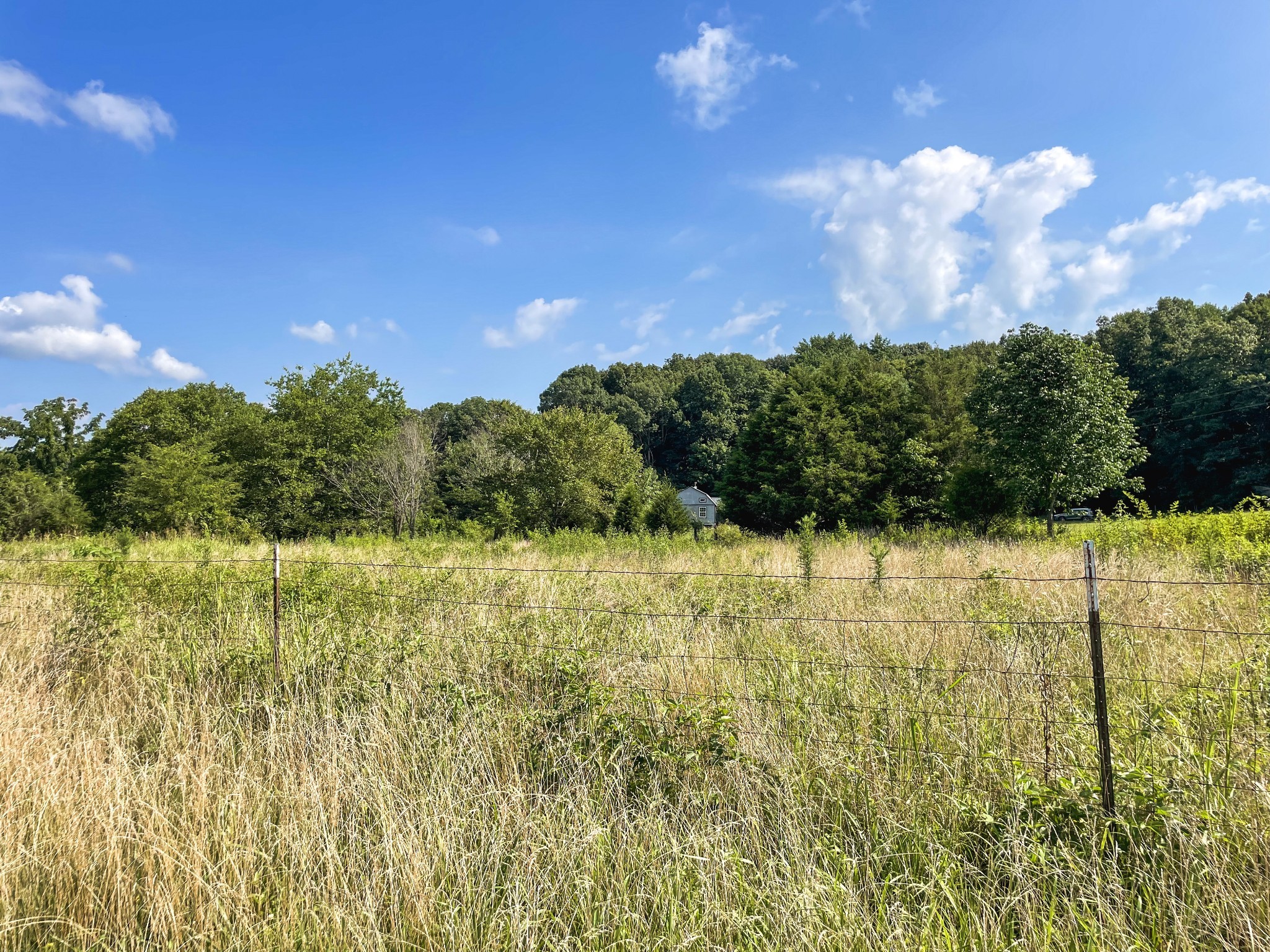 401 North Jones Road Portland, TN 37148 - Photo 24 of 25 a view of a yard