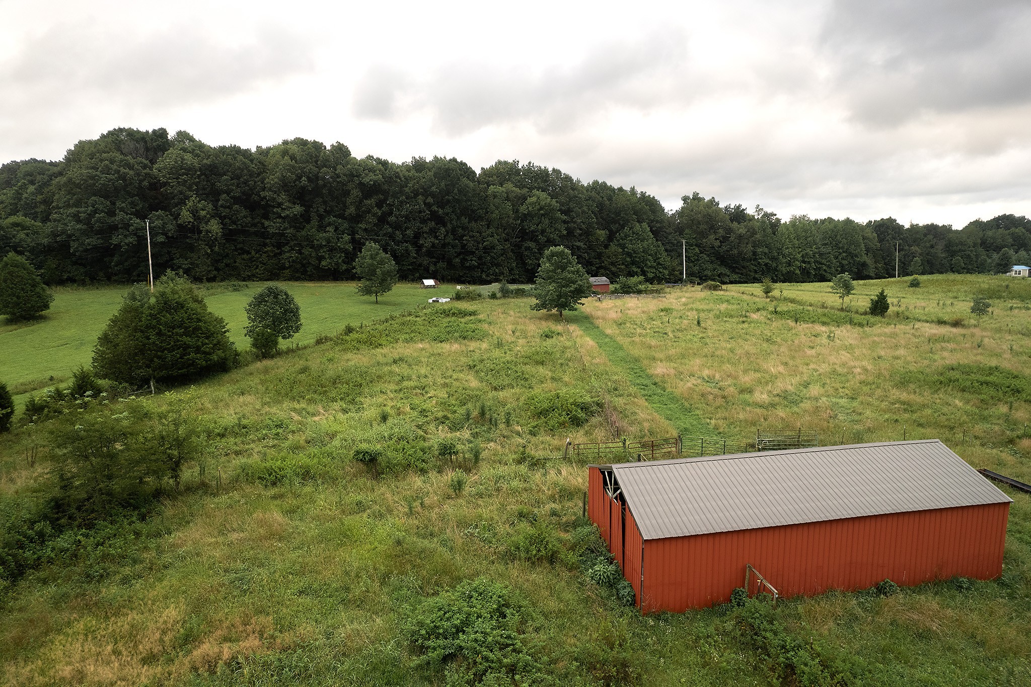 401 North Jones Road Portland, TN 37148 - Photo 4 of 25 a view of a lake with a yard