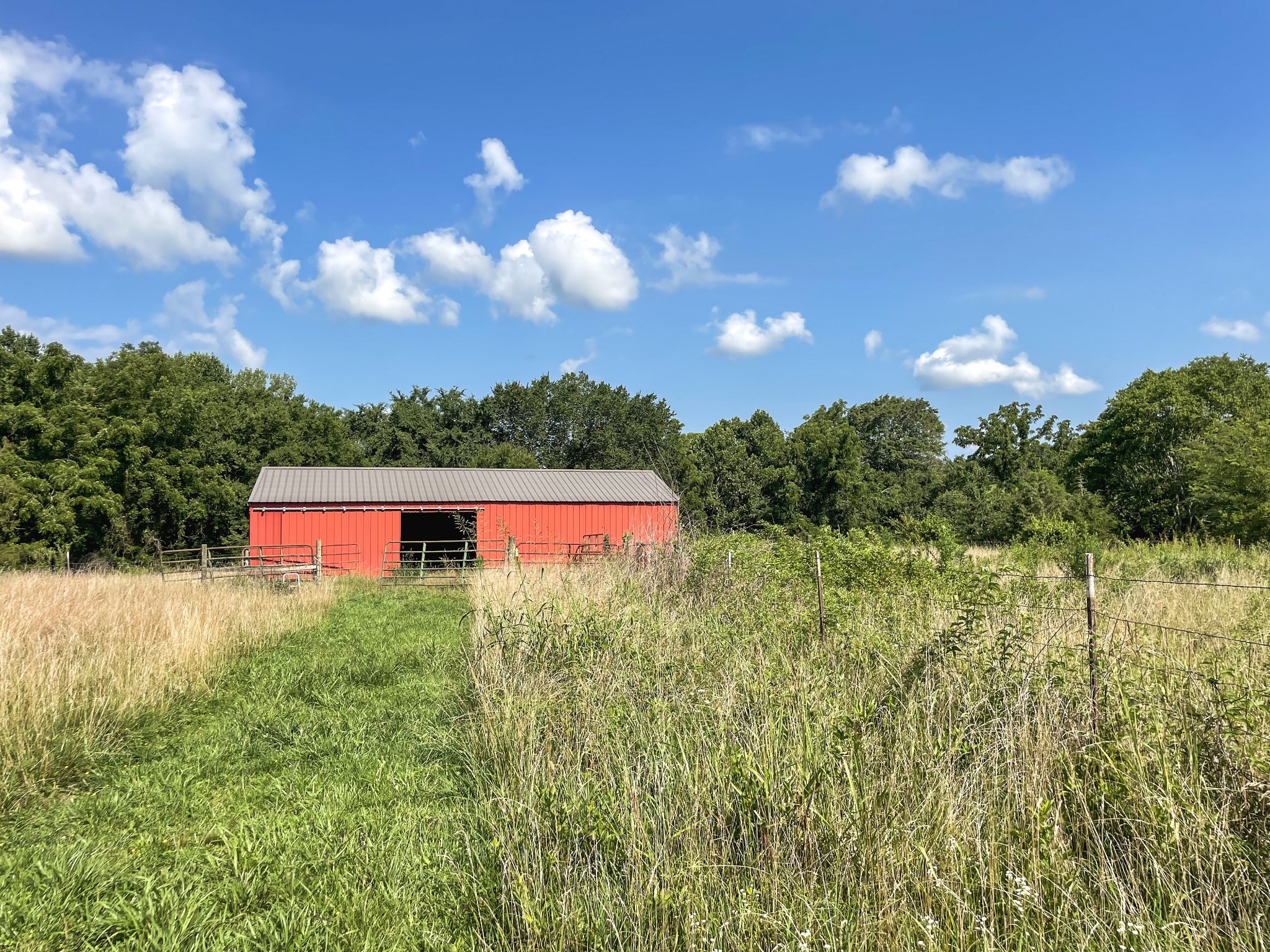 401 North Jones Road Portland, TN 37148 - Photo 7 of 25 a view of a big yard with potted plants and large tree