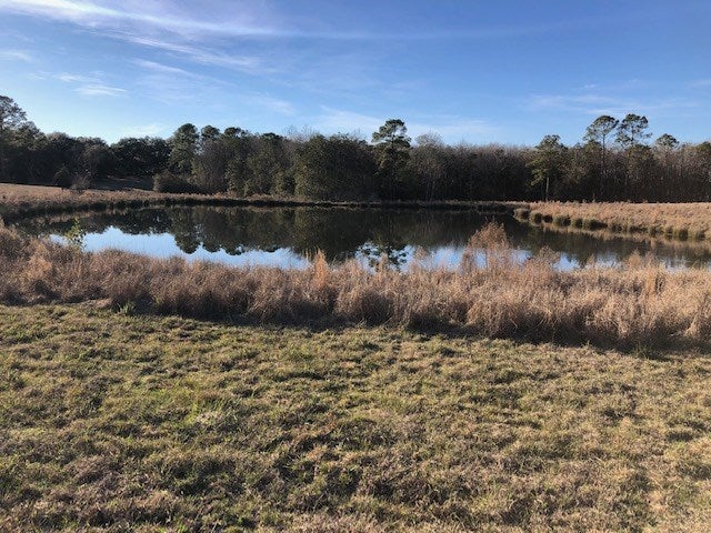 15-ac Cravey Bridge Road Florala, AL 36442 - Photo 4 of 16 Gallery Image 4