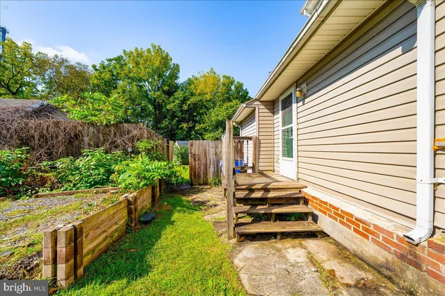 a view of a backyard with plants and large trees