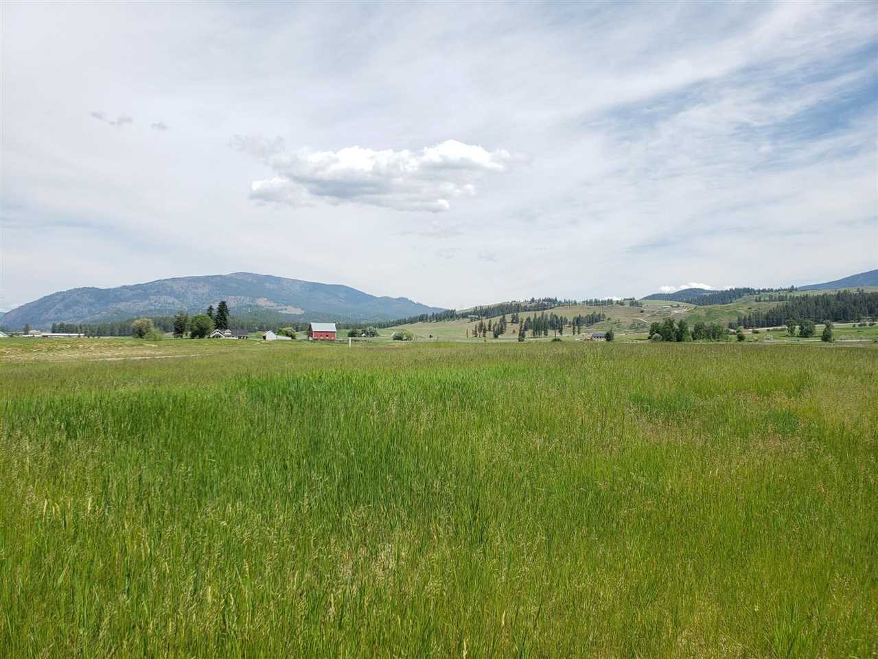 2124 Ringneck Loop Colville, WA 99114 - Photo 3 of 7 Gallery Image 3