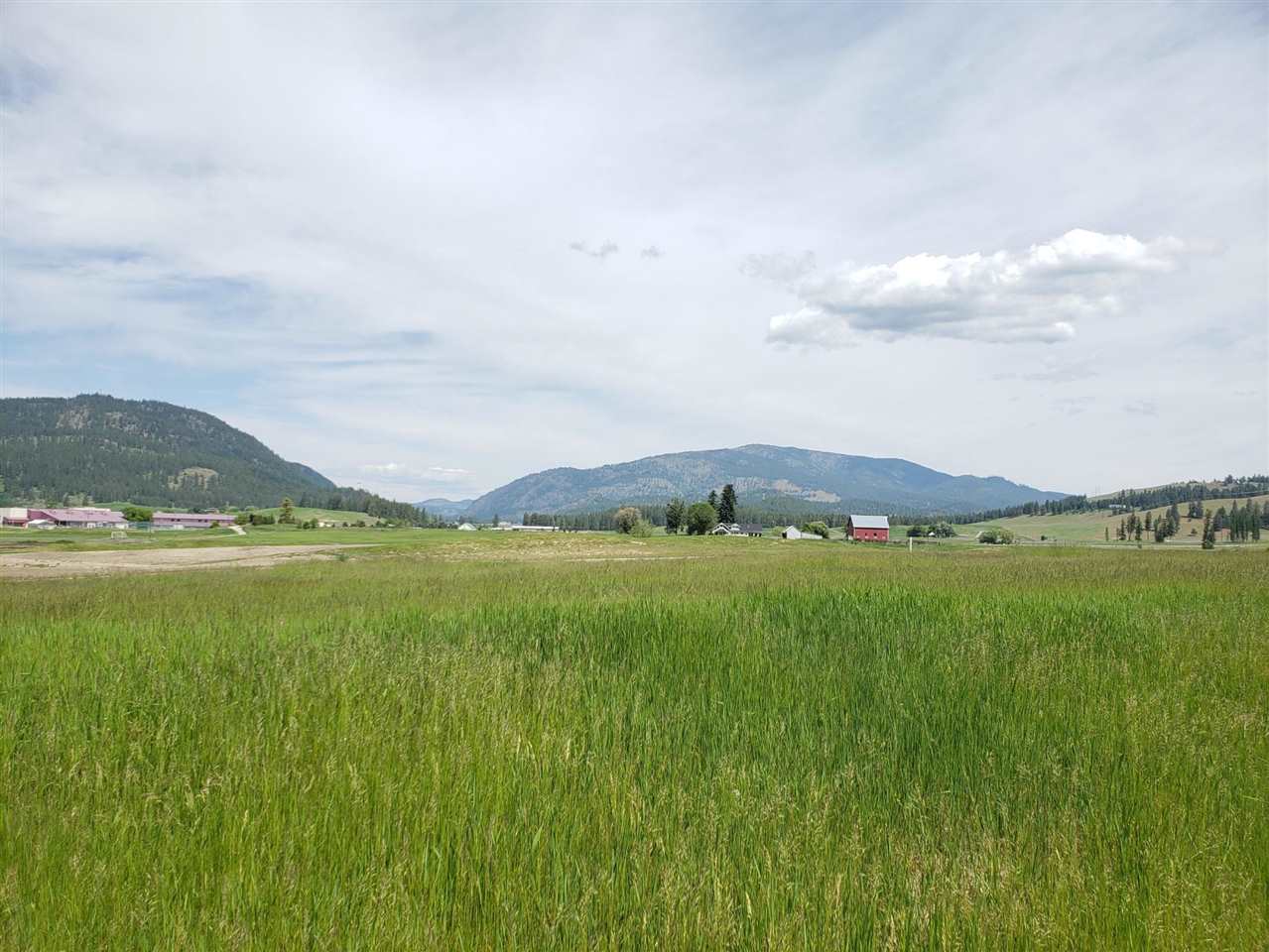 2124 Ringneck Loop Colville, WA 99114 - Photo 4 of 7 Gallery Image 4