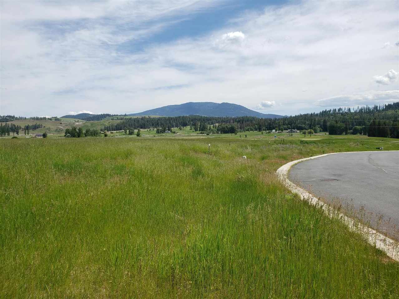 2124 Ringneck Loop Colville, WA 99114 - Photo 5 of 7 Gallery Image 5