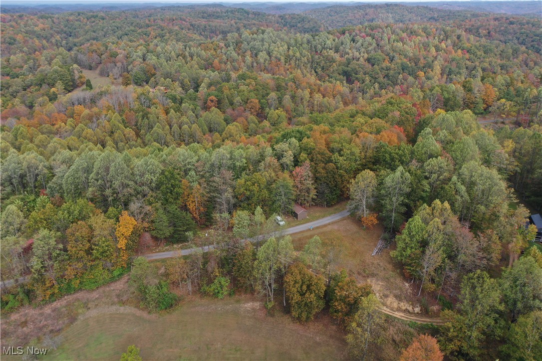 731 Riffle Run Road Grantsville, WV 26147 - Photo 3 of 30