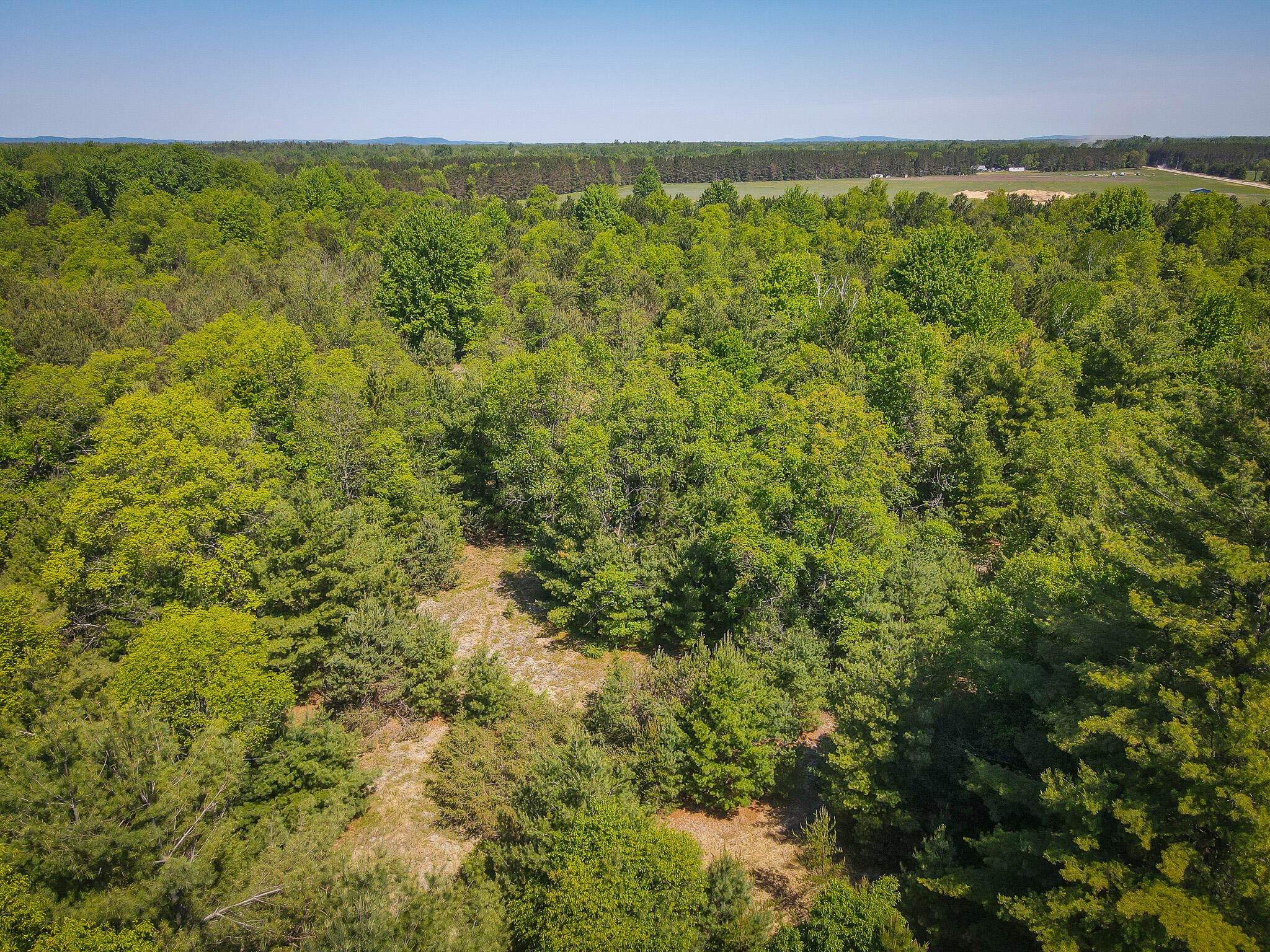 Parcel B Makinen Road Kaleva, MI 49645 - Photo 6 of 38 DJI_0294