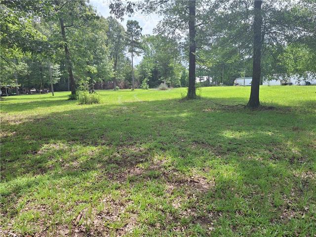 18 Nadrchal Road Deville, LA 71328 - Photo 3 of 7