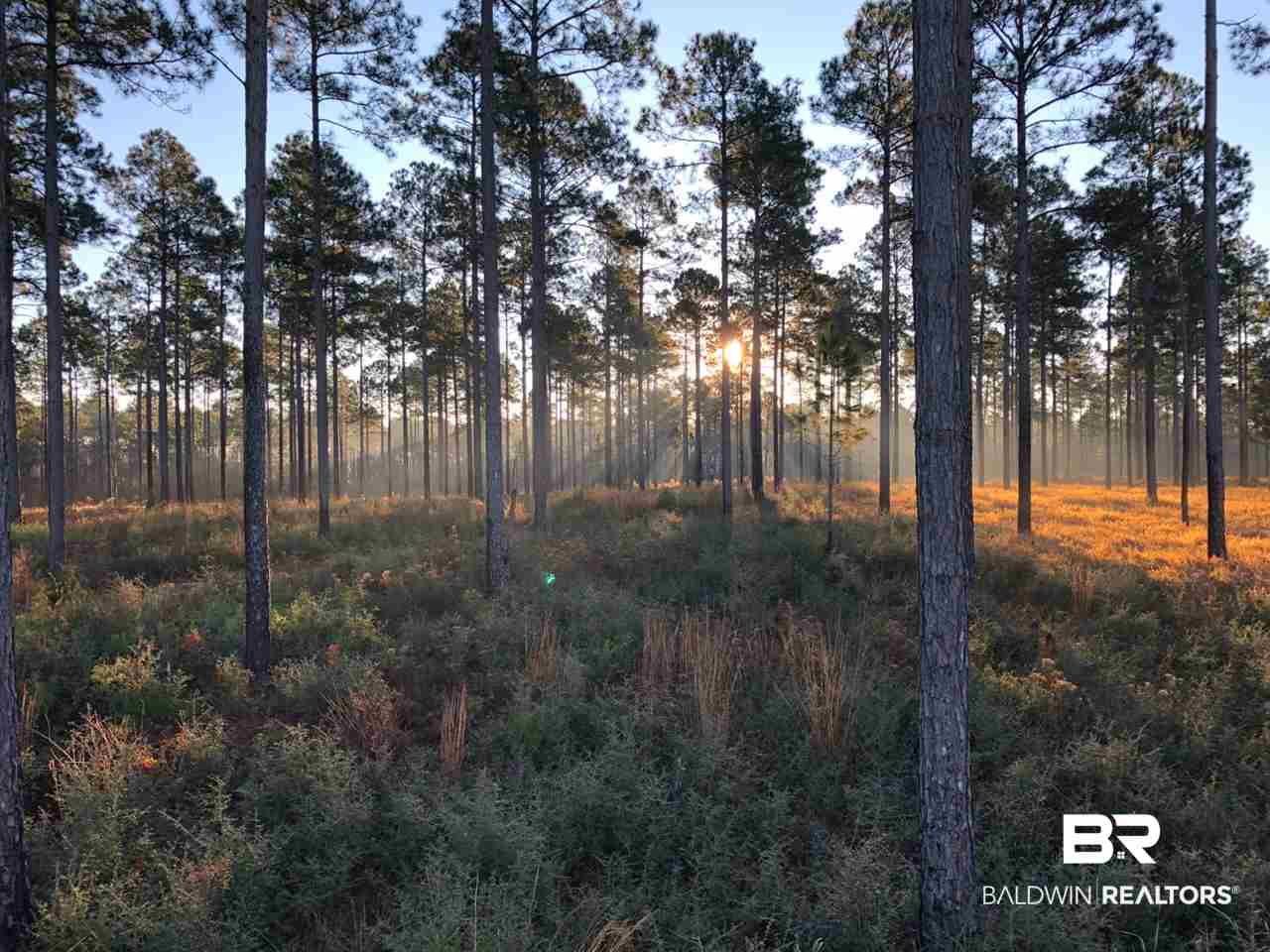 0 Leiterman Road Elberta, AL 36530 - Photo 5 of 13