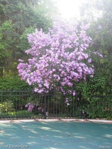 1057 Hackberry Circle Rochester, MI 48309 - Photo 16 of 17 Spring Lilac's.jpg