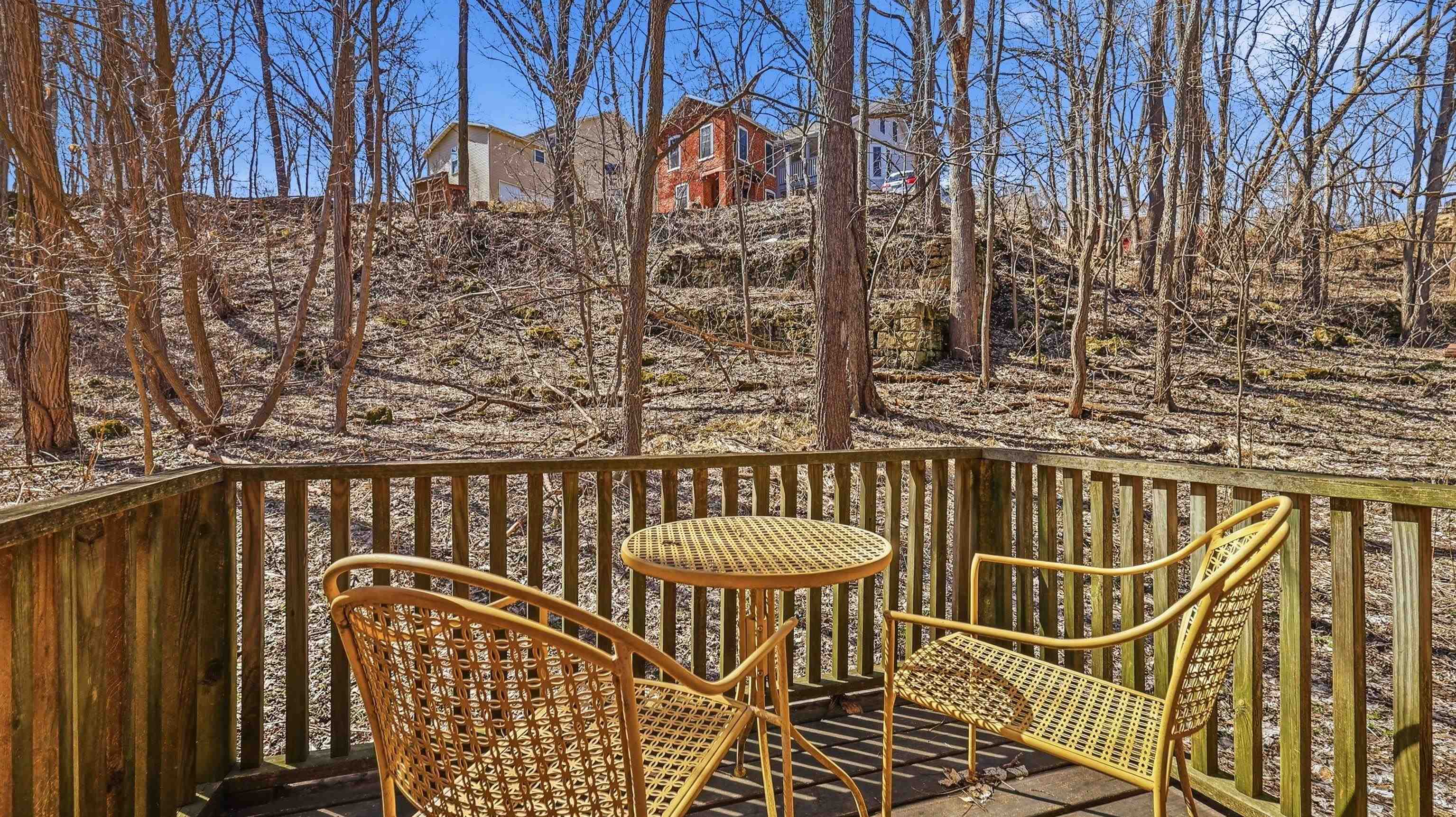 334 Spring Street Galena, IL 61036 - Photo 49 of 59