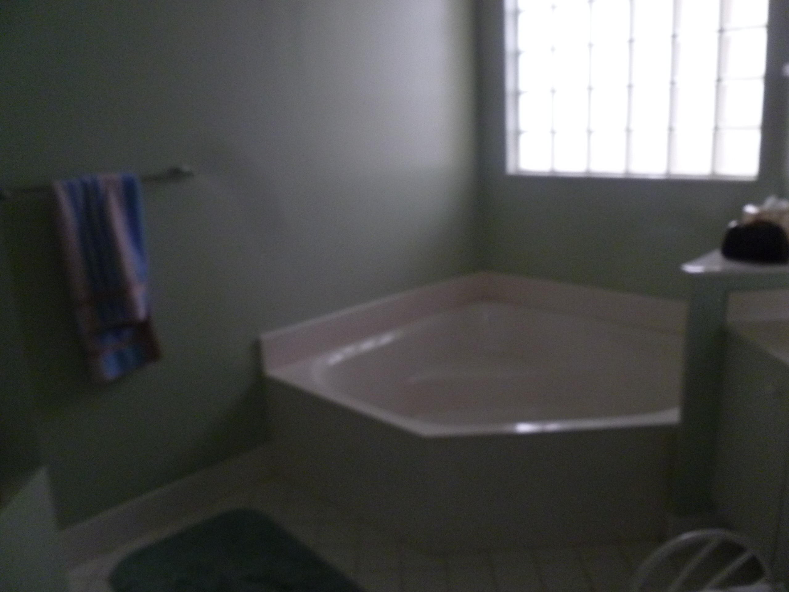 6238 Brava Way Boca Raton, FL 33433 - Photo 11 of 18 gertrude cooper master bath 2