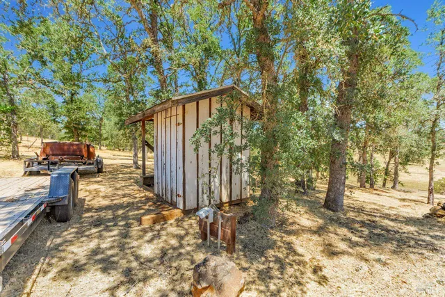 a view of a backyard with trees