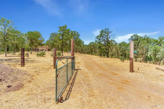 a view of a yard with a tree