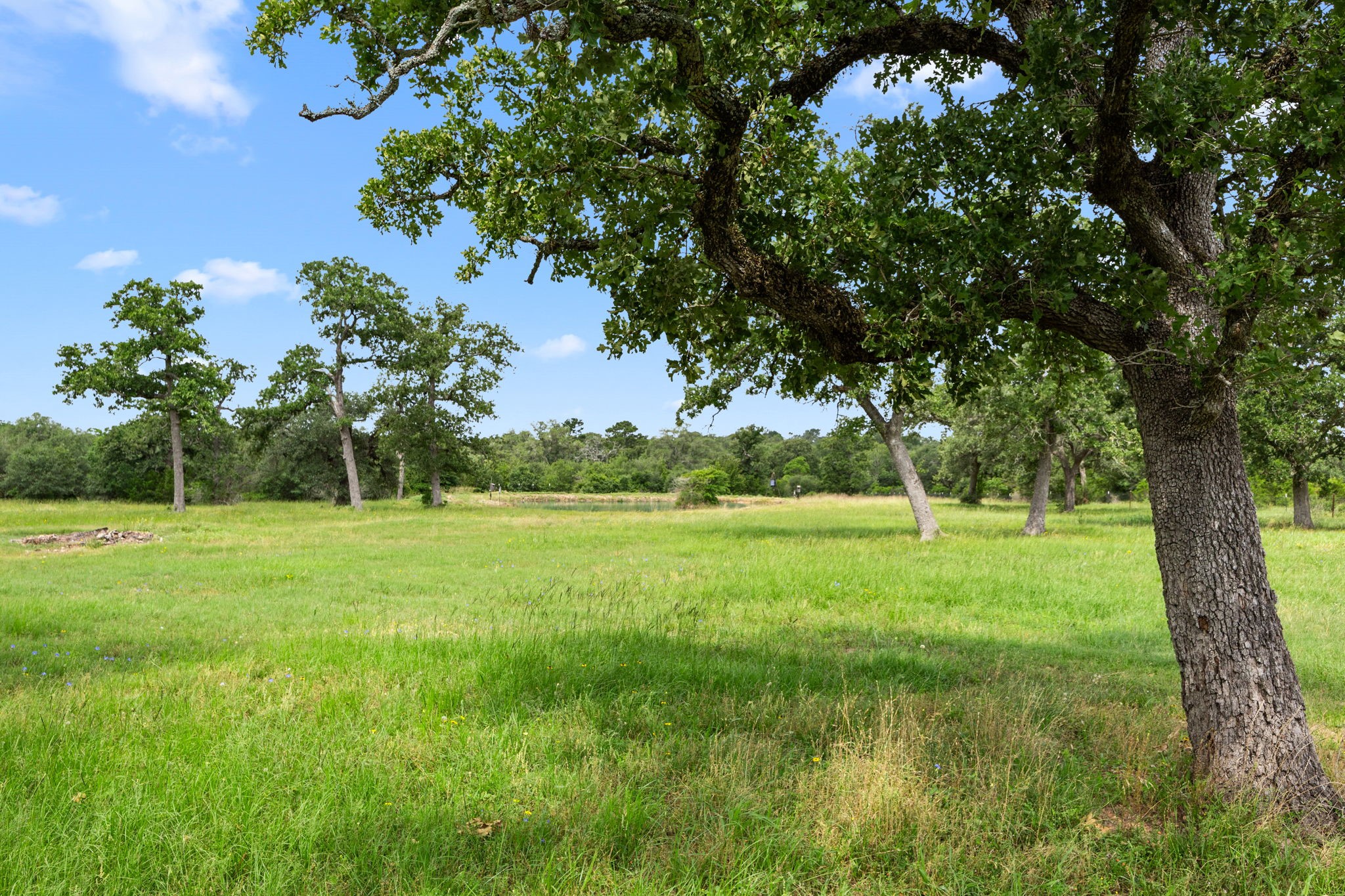 1507 Smith Rau Road Columbus, TX 78934 - Photo 42 of 42