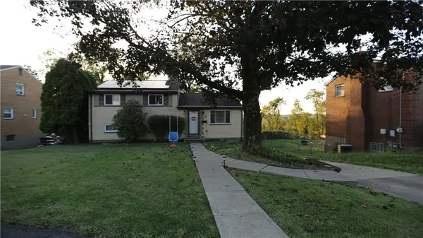 a view of a backyard with plants and large tree