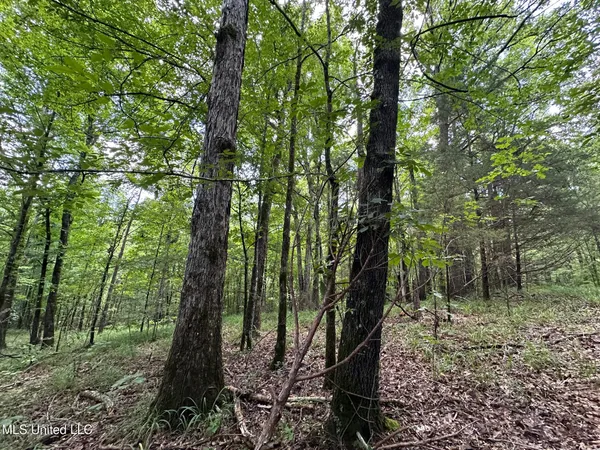 $160,000 | 1 Rockport Road, Lexington, MS 39095