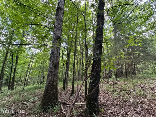 $160,000 | 1 Rockport Road, Lexington, MS 39095