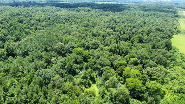 $160,000 | 1 Rockport Road, Lexington, MS 39095