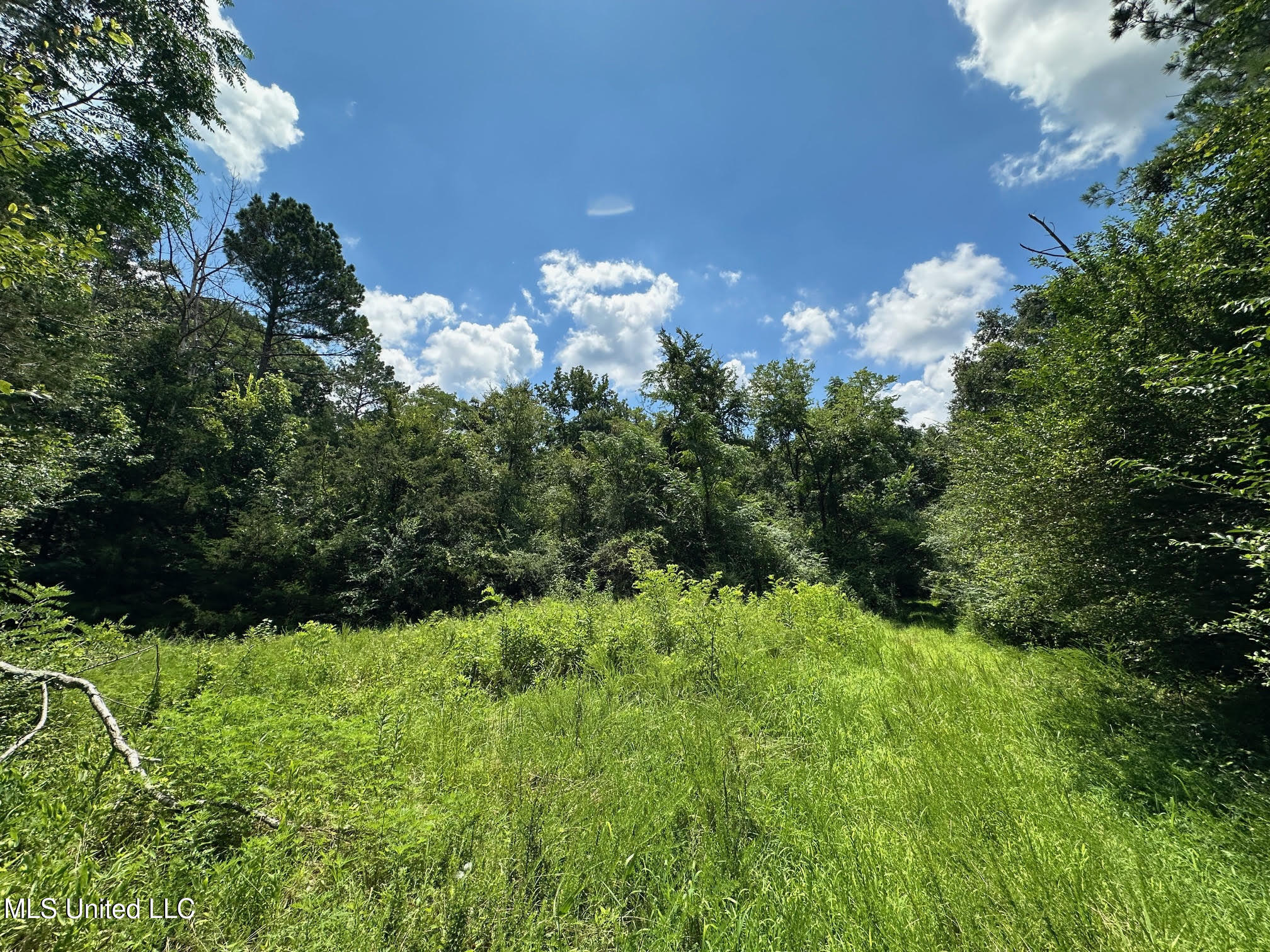 1 Rockport Road Lexington, MS 39095 - Photo 2 of 17 8