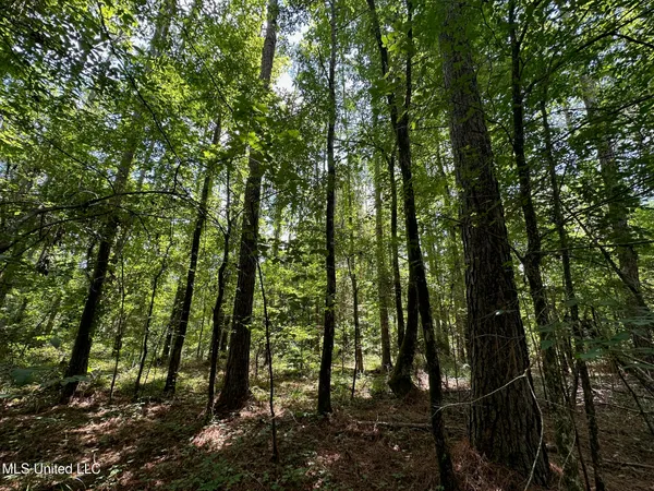 $160,000 | 1 Rockport Road, Lexington, MS 39095