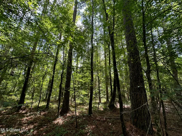 $160,000 | 1 Rockport Road, Lexington, MS 39095