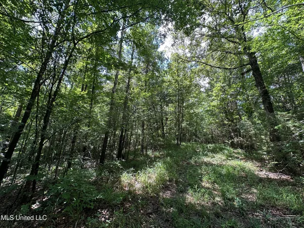 $160,000 | 1 Rockport Road, Lexington, MS 39095