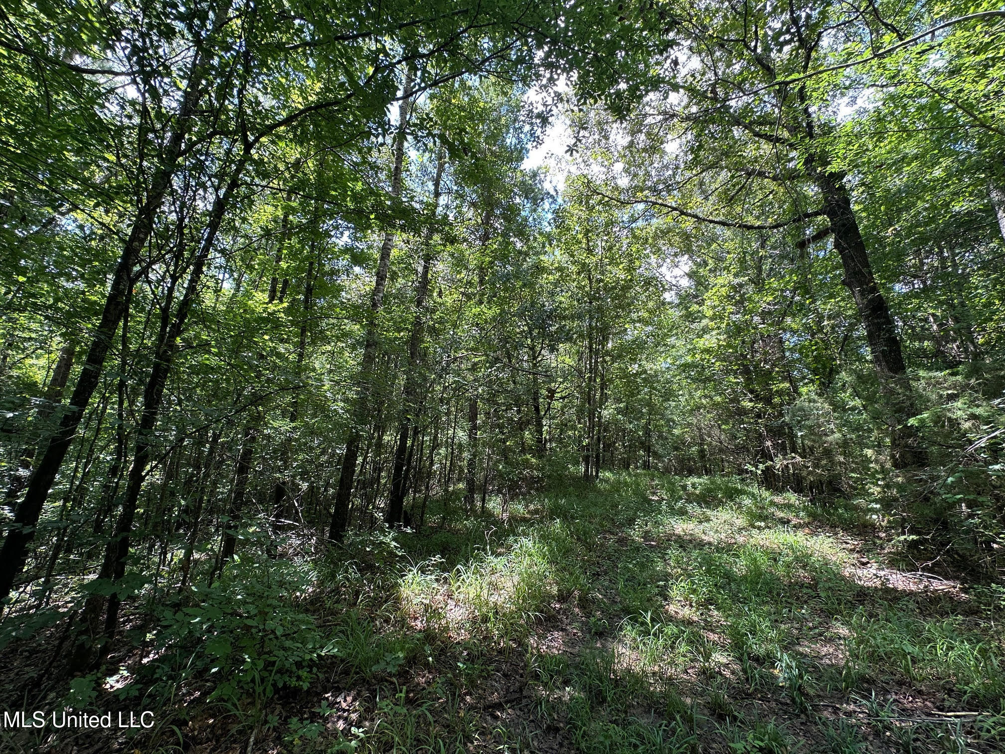 1 Rockport Road Lexington, MS 39095 - Photo 4 of 17 10