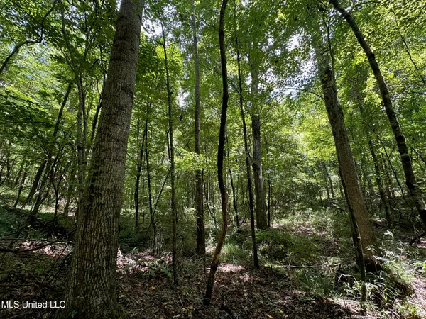 $160,000 | 1 Rockport Road, Lexington, MS 39095