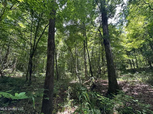 $160,000 | 1 Rockport Road, Lexington, MS 39095