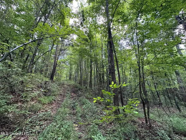 $160,000 | 1 Rockport Road, Lexington, MS 39095