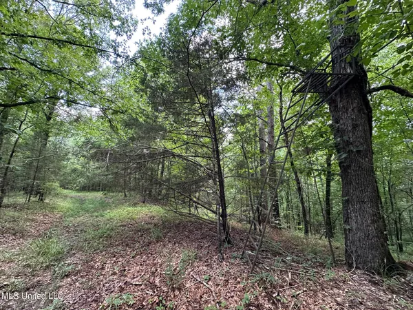 $160,000 | 1 Rockport Road, Lexington, MS 39095