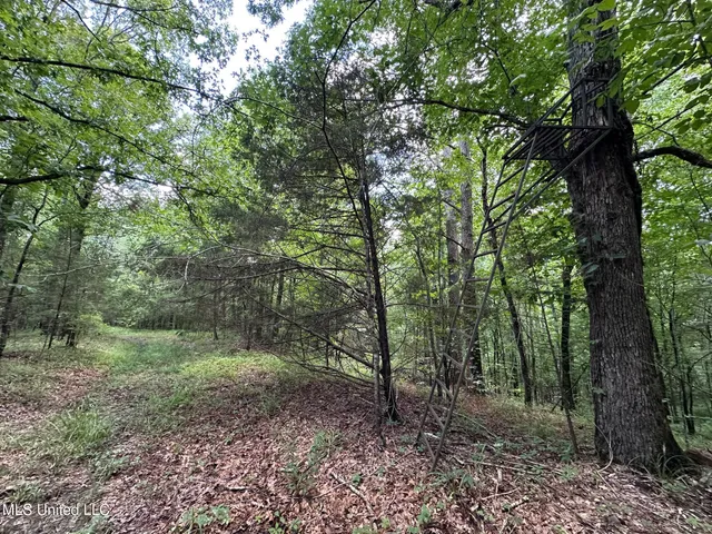 $160,000 | 1 Rockport Road, Lexington, MS 39095