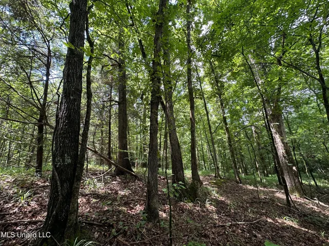 $160,000 | 1 Rockport Road, Lexington, MS 39095