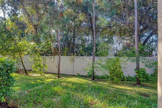 a view of a backyard