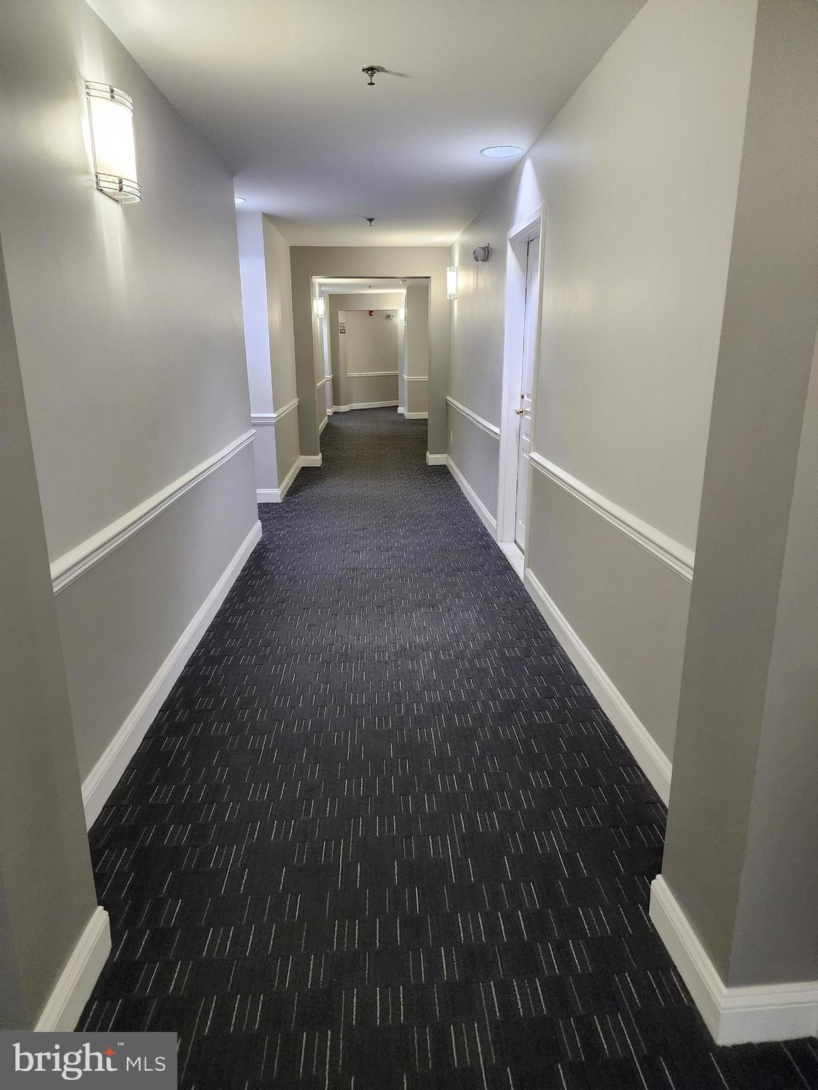 5573 Seminary Road, Unit 208 Falls Church, VA 22041 - Photo 25 of 33 Hallway