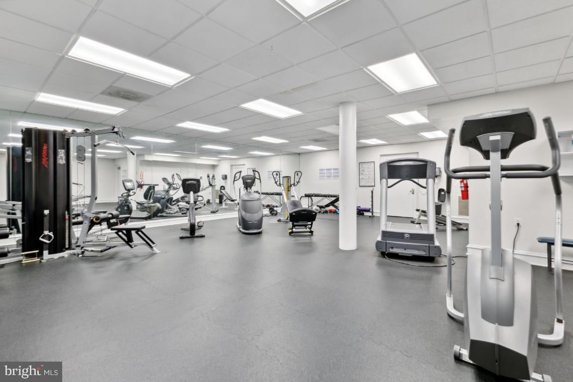 5573 Seminary Road, Unit 208 Falls Church, VA 22041 - Photo 29 of 33 Gym/Fitness center