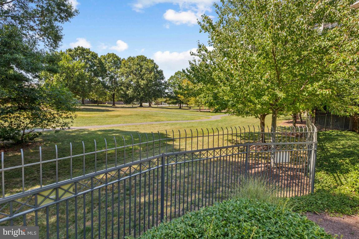 5573 Seminary Road, Unit 208 Falls Church, VA 22041 - Photo 32 of 33 View of the park from the pool.