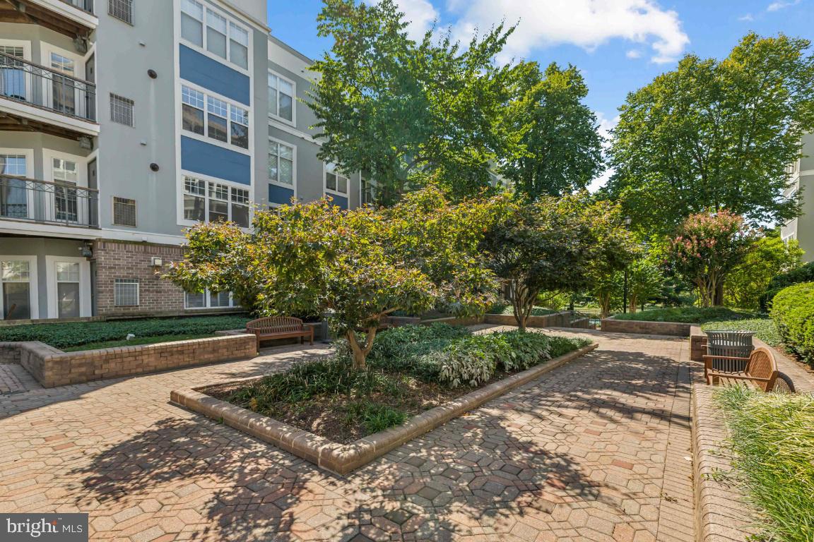 5573 Seminary Road, Unit 208 Falls Church, VA 22041 - Photo 33 of 33 Courtyard