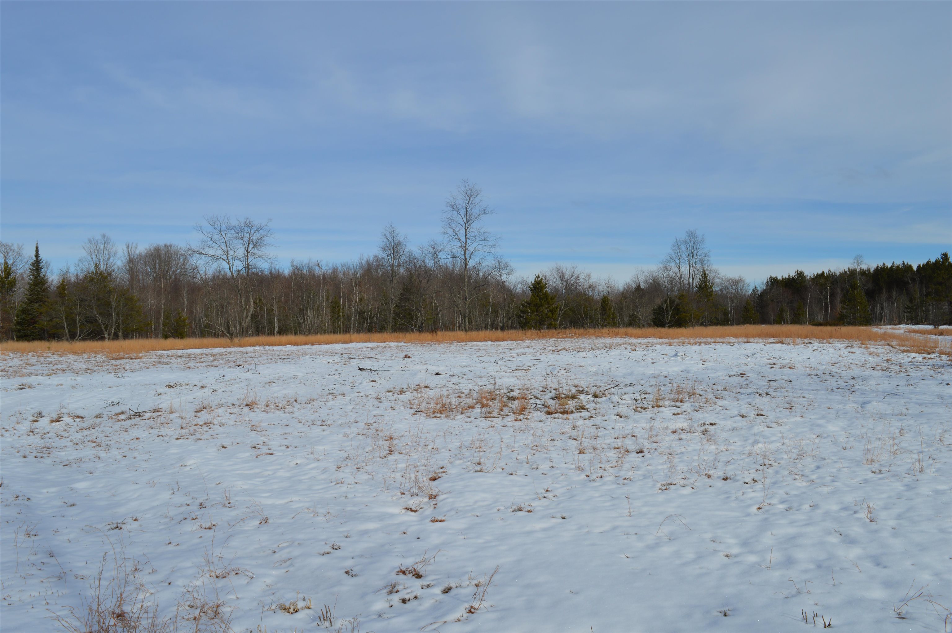 Off Wood Road Northeast Kalkaska, MI 49646 - Photo 9 of 22
