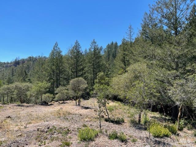 5070 Gates Road Santa Rosa, CA 95404 - Photo 14 of 19