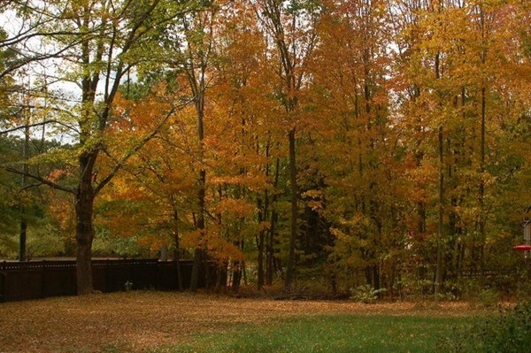 10 Flat Hills Road Amherst, MA 01002 - Photo 29 of 30