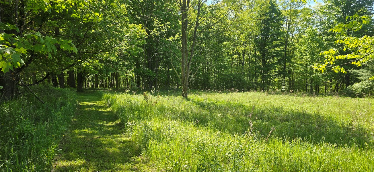 324 Murphy Hill Road Catlin, NY 14845 - Photo 21 of 47
