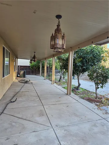 a view of a yard with plants and large trees