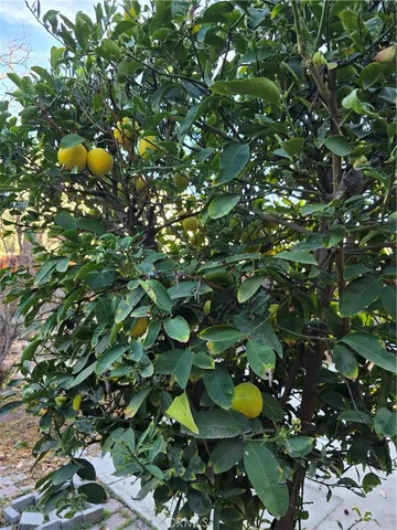 a backyard of a house