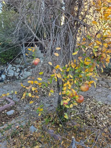 a view of outdoor space with seating