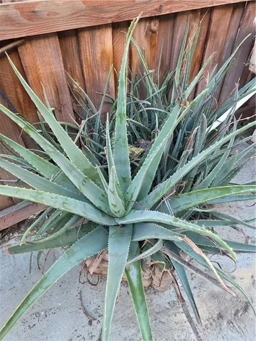 $569,900 | 537 Peregrine Lane, San Jacinto, CA 92582