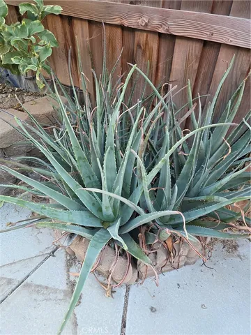 $569,900 | 537 Peregrine Lane, San Jacinto, CA 92582