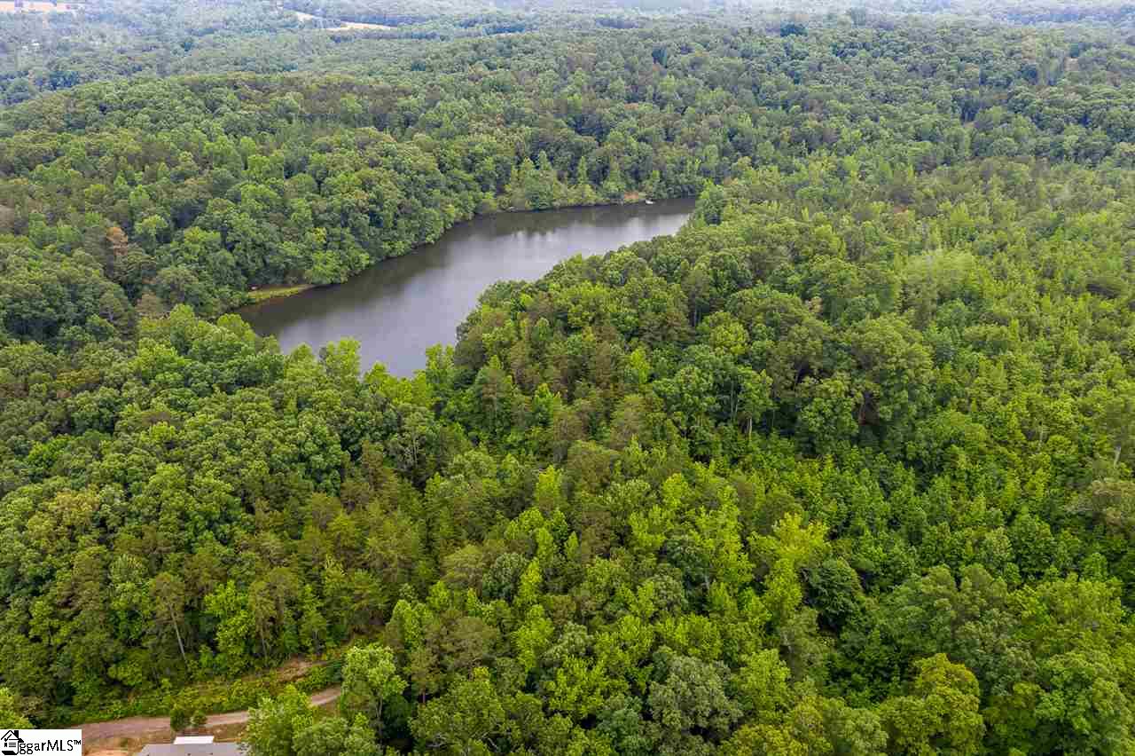 0 Old Hills Bridge Road Enoree, SC 29335 - Photo 3 of 11