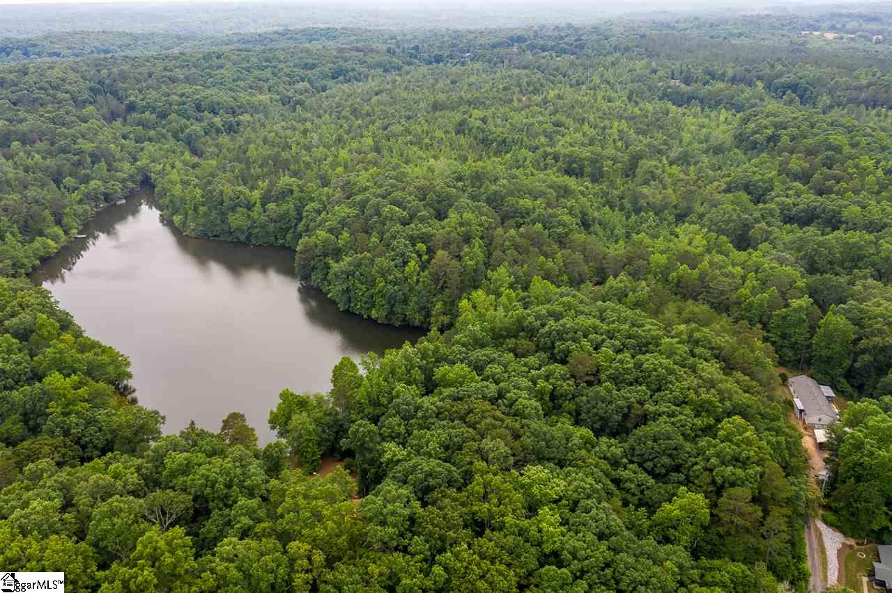 0 Old Hills Bridge Road Enoree, SC 29335 - Photo 4 of 11