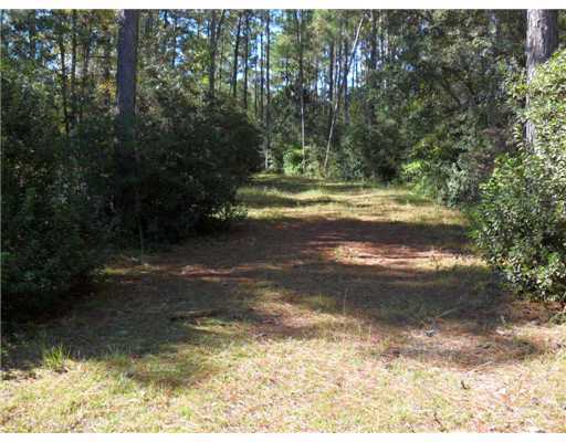 157 Shawtown Road Perkinston, MS 39573 - Photo 1 of 6 Primary Photo